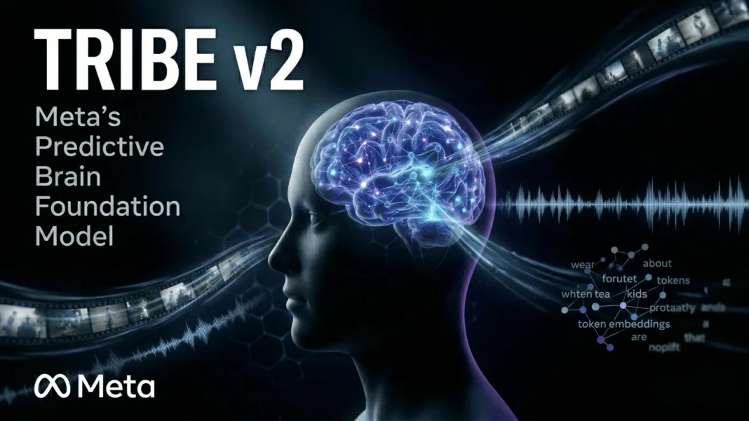 Meta TRIBE v2 AI model predicting fMRI brain neural responses across video audio and language inputs